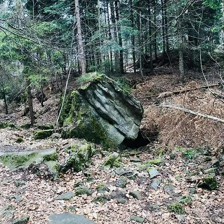 Gory I Potok Porąbka