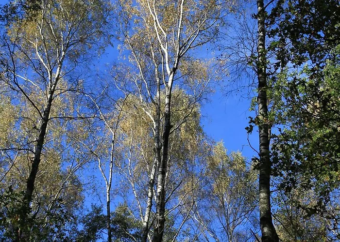 Gory I Potok דירה